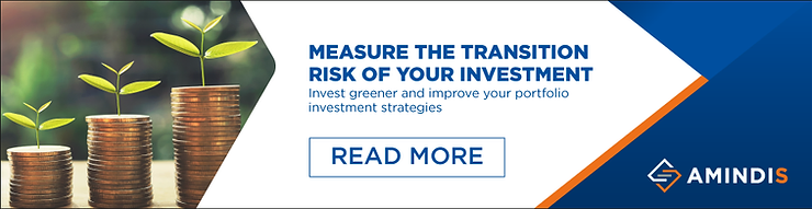How to measure the Transition Risk of your Portfolio