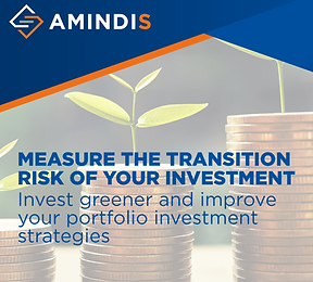 How to measure the Transition Risk of your Portfolio?