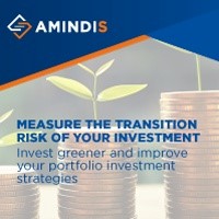 Investment Transition Risk