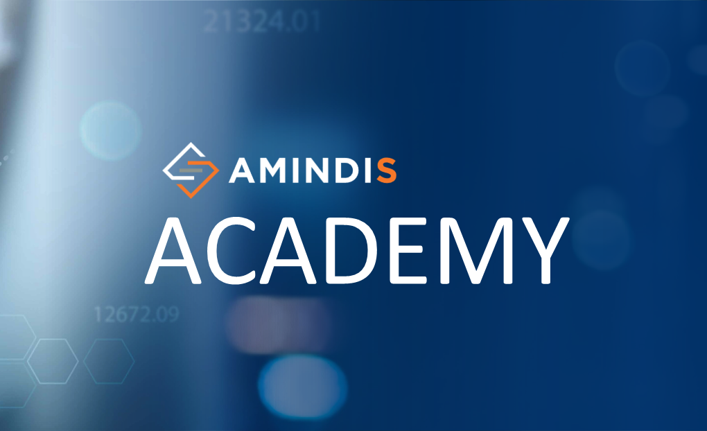 AMINDIS Academy